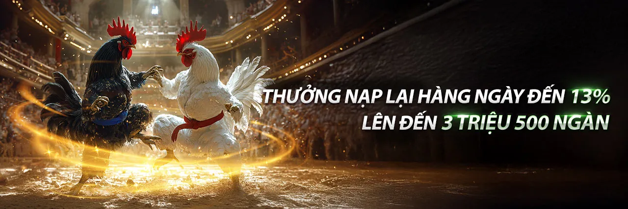 Đá gà Trực tuyến 555win ap