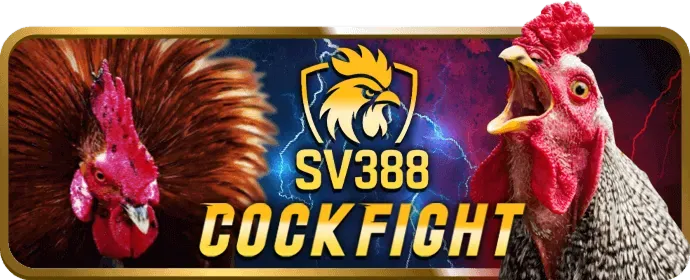 Hoàn trả hàng ngày 555win ap